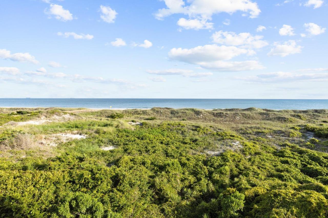 דירות אטלנטיק ביץ' Turtle Cove Retreat מראה חיצוני תמונה